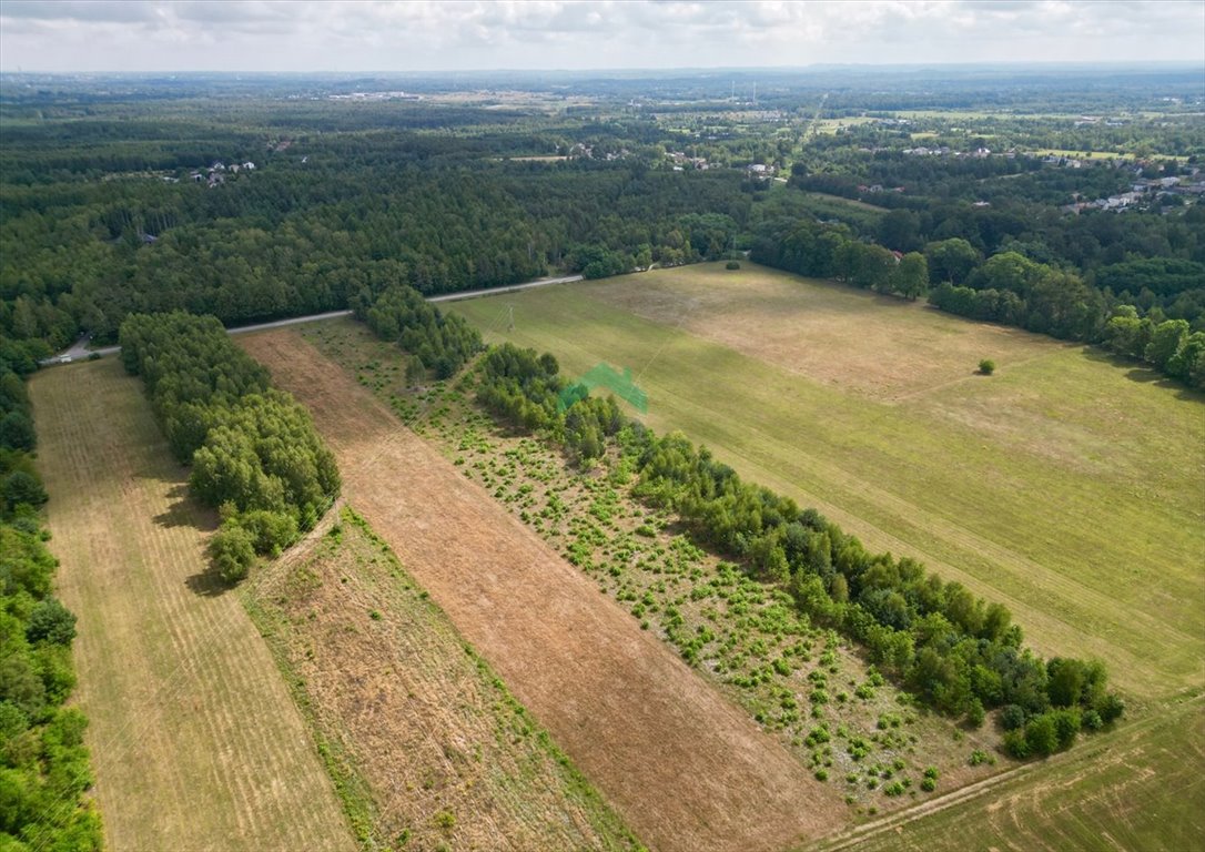 Działka inna na sprzedaż Aleksandria  9 800m2 Foto 7