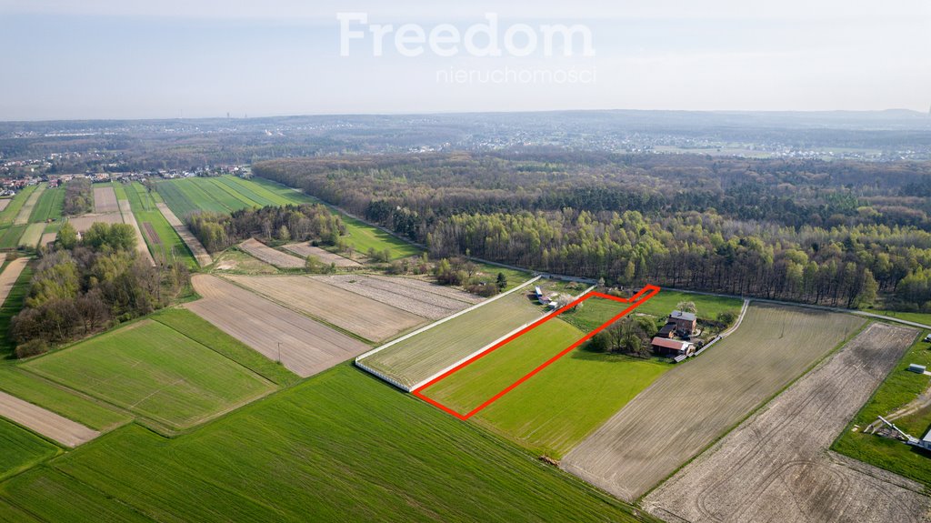 Działka inna na sprzedaż Bełk, Graniczna  7 229m2 Foto 2