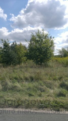 Działka rolna na sprzedaż Łoś 1 000m2 Foto 1 Działka rolna na sprzedaż Łoś 1 000m2 Foto 1