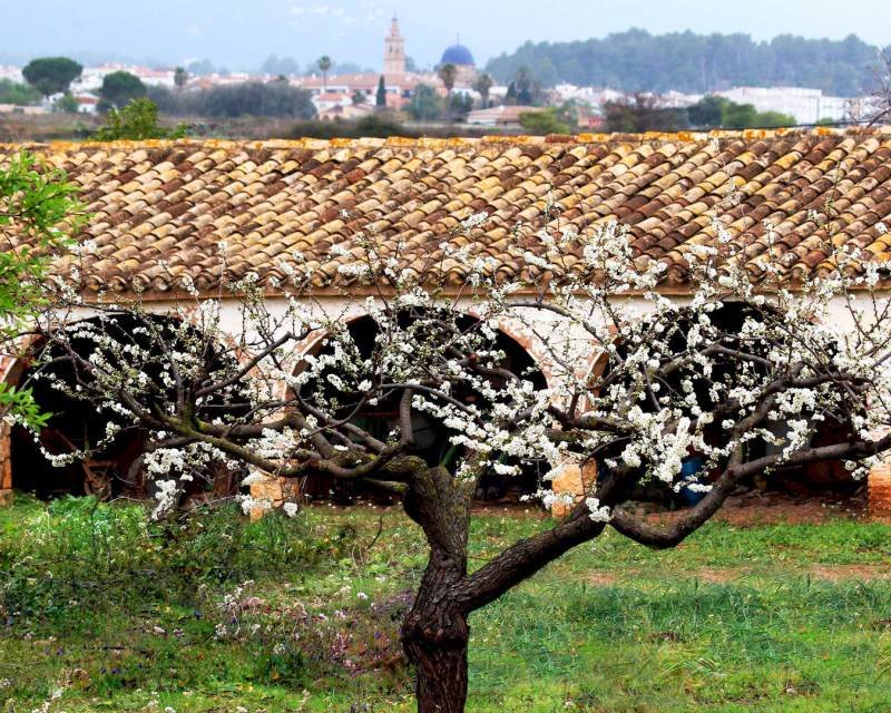 Dom na sprzedaż Hiszpania, Lliber, Hiszpania, Lliber  314m2 Foto 23