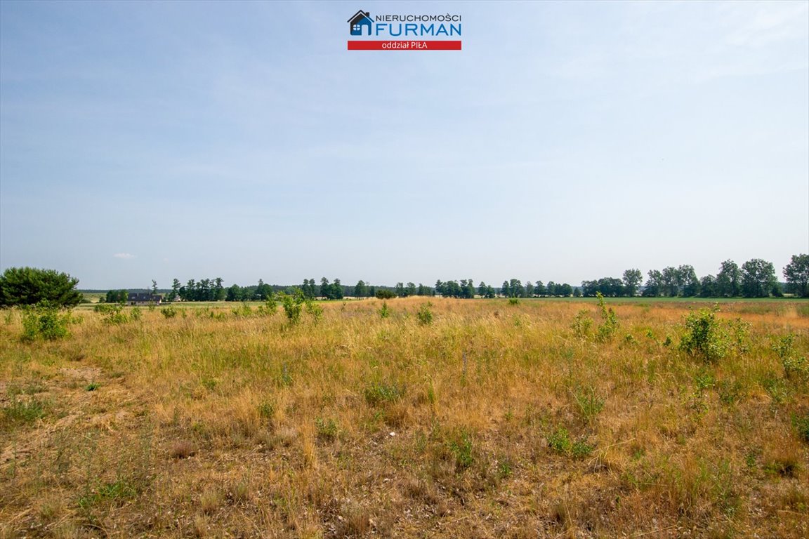 Działka inwestycyjna na sprzedaż Stobno  3 000m2 Foto 7