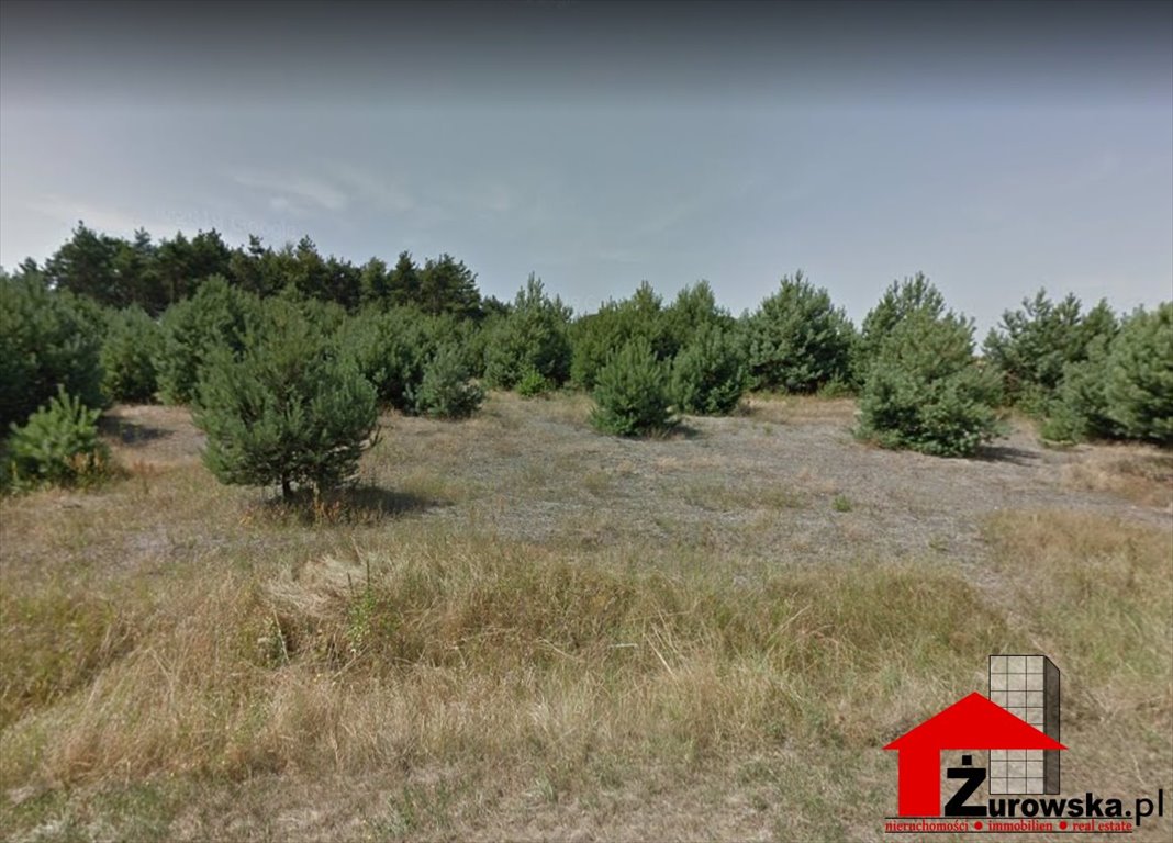 Działka rolno-leśna 3,6 ha w Morsku - idealne siedlisko Morsko  36 000m2 Foto 1