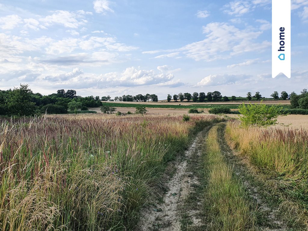 Działka budowlana na sprzedaż Wińsko, Parkowa  1 405m2 Foto 5