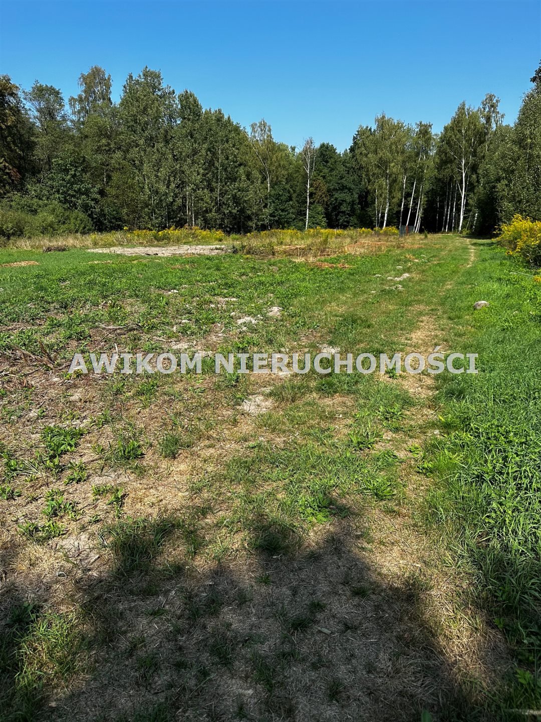 Działka budowlana na sprzedaż Żabia Wola, Słubica A  1 380m2 Foto 7