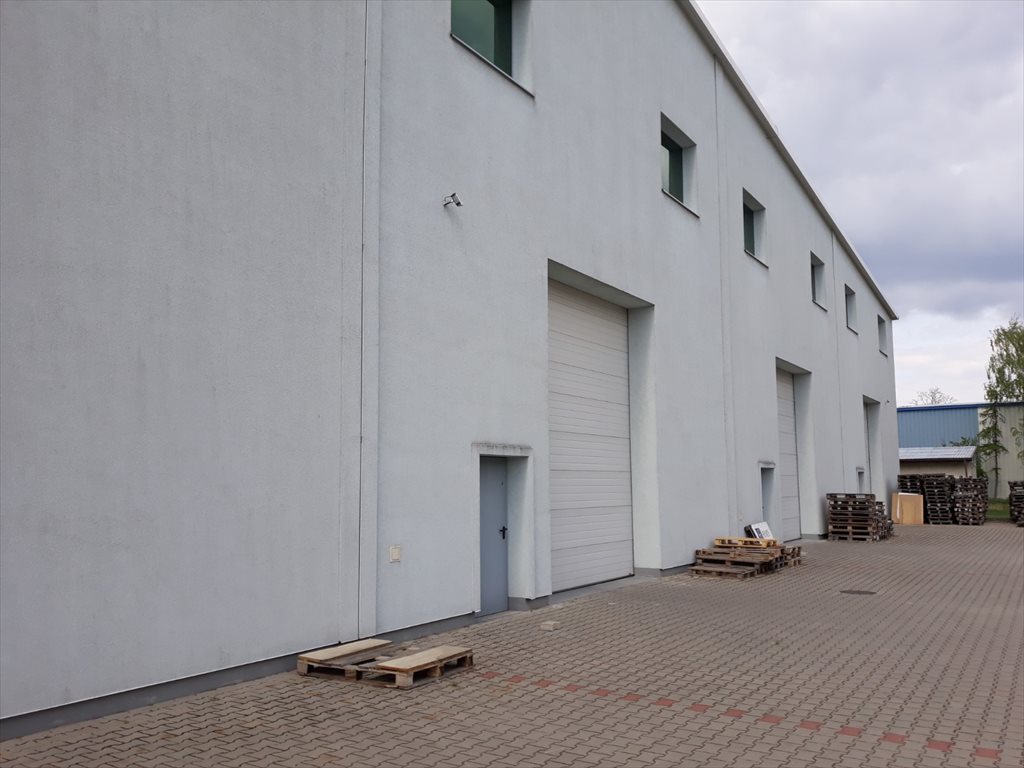 Lokal użytkowy na wynajem Namysłów 1 790m2 Foto 1 Lokal użytkowy na wynajem Namysłów 1 790m2 Foto 1