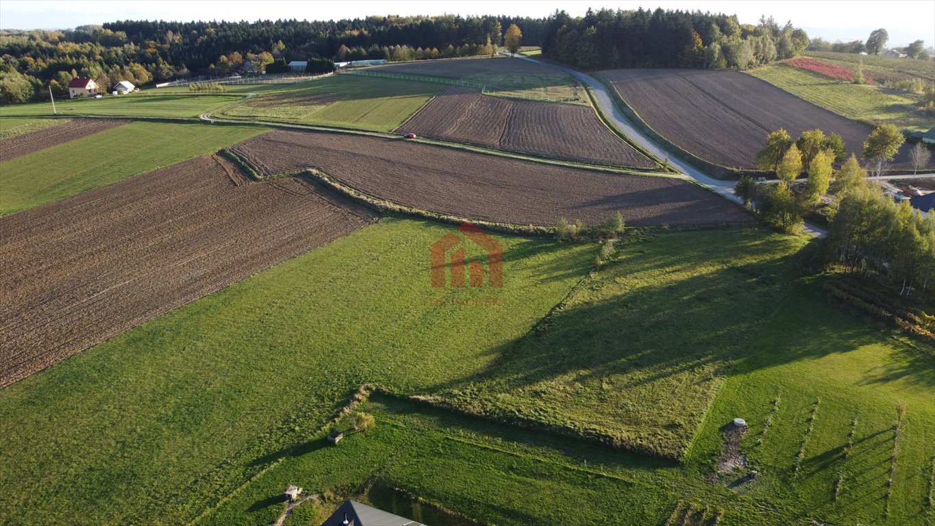 Działka budowlana na sprzedaż Broniszów  2 769m2 Foto 9