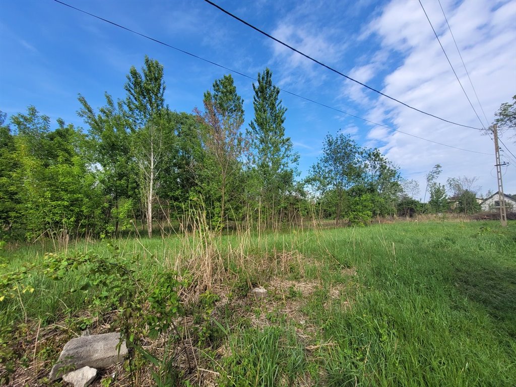 Działka budowlana na sprzedaż Dąbrowa Górnicza, Ząbkowice  2 336m2 Foto 4