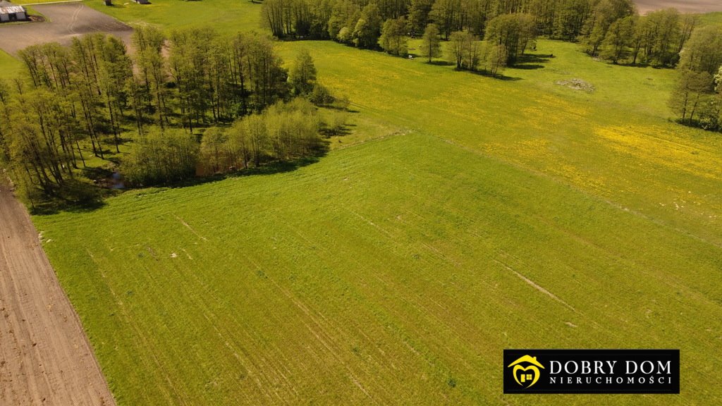 Działka rolna na sprzedaż Słoboda  7 528m2 Foto 2