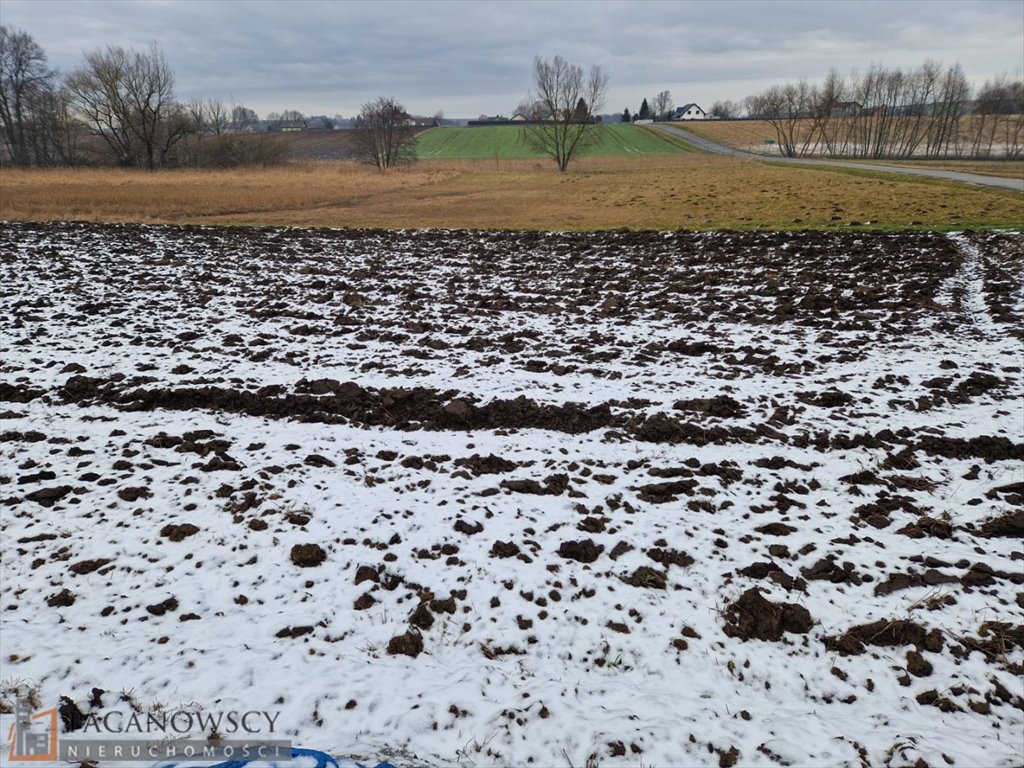 Działka budowlana na sprzedaż Wilków  854m2 Foto 2