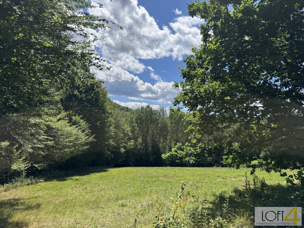 Działka inna na sprzedaż Paleśnica  13 300m2 Foto 1