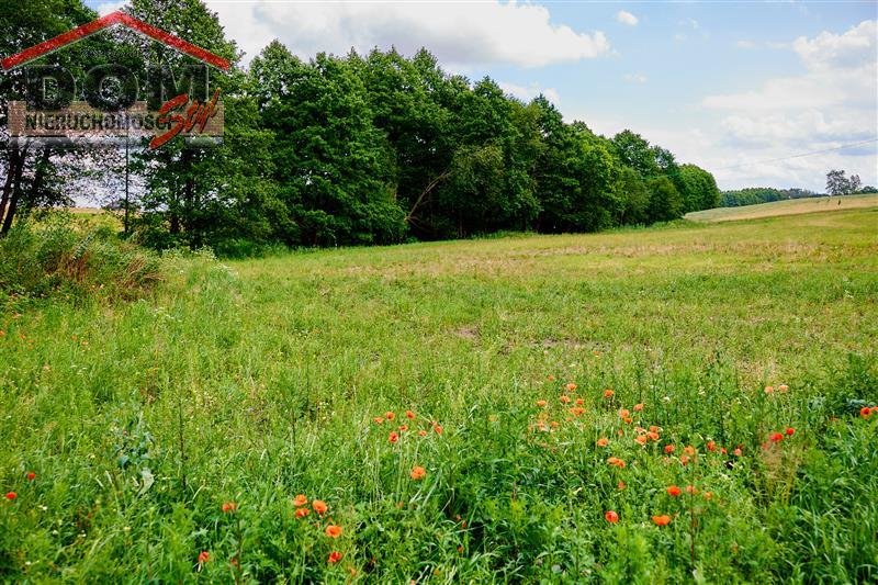 Działka budowlana na sprzedaż Gudowo  1 342m2 Foto 6