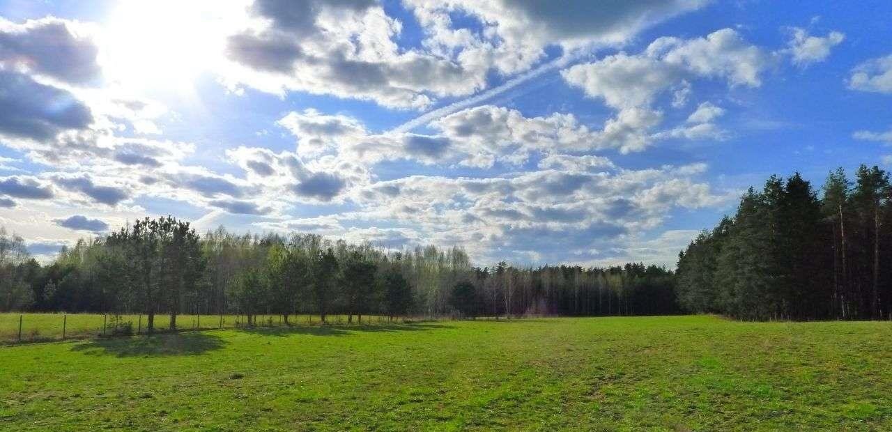 Działka rolna na sprzedaż Walne  3 500m2 Foto 4