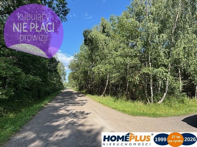 Działka rolna 10 330 m² z lasem, prąd, Tłuszcz Kury  10 330m2 Foto 1