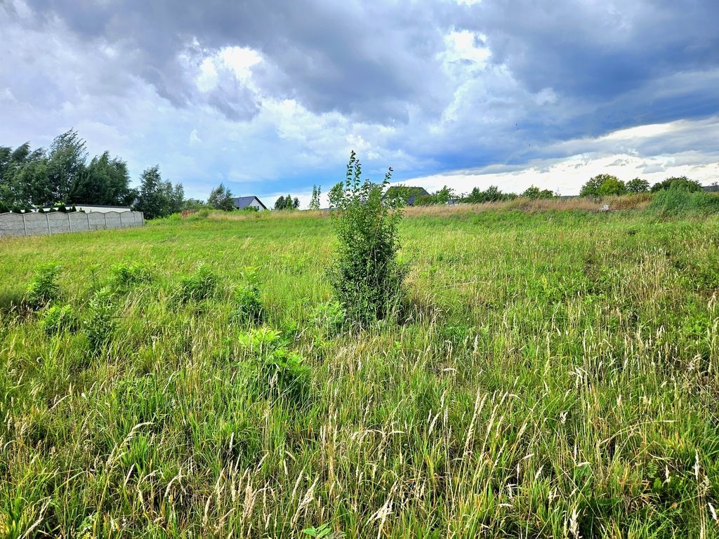 Działka budowlana na sprzedaż Dębno, Chojeńska  1 906m2 Foto 1