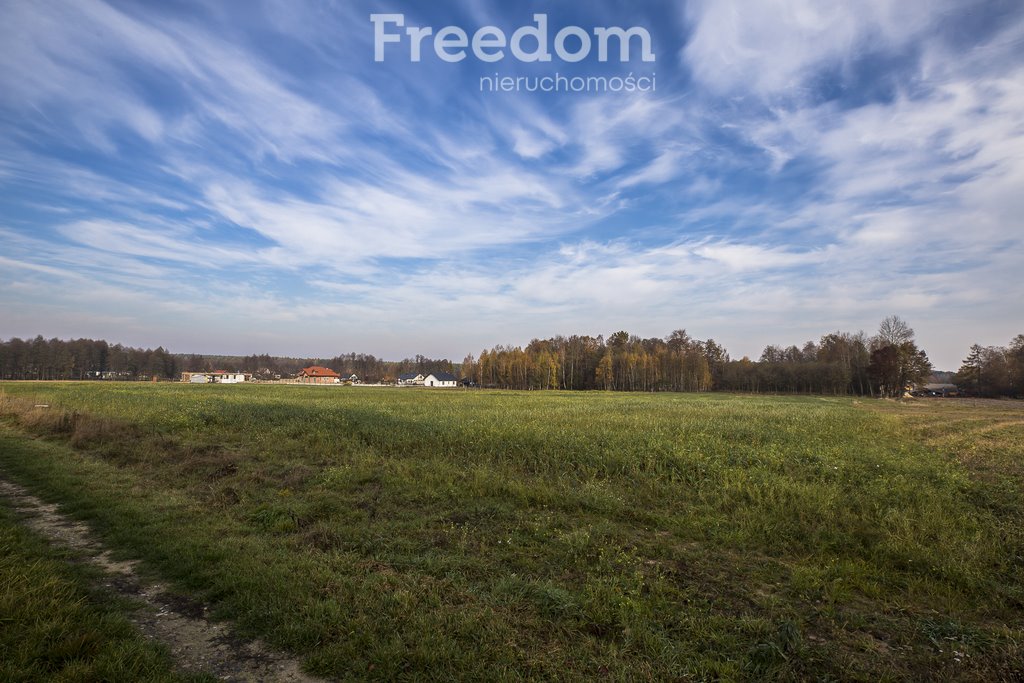 Działka budowlana na sprzedaż Maleniska  6 714m2 Foto 2