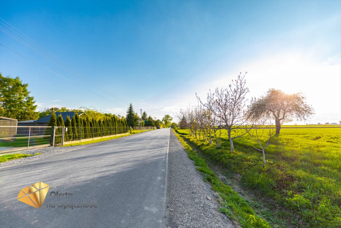 Działka rolna na sprzedaż Piotrkówek  3 200m2 Foto 6