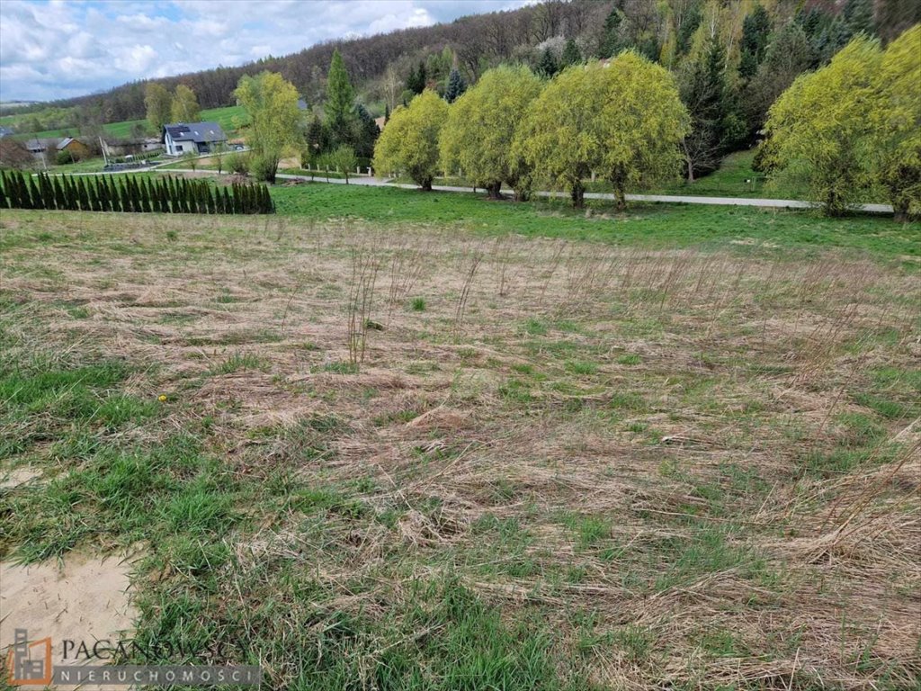 Działka inna na sprzedaż Maszków  3 000m2 Foto 3