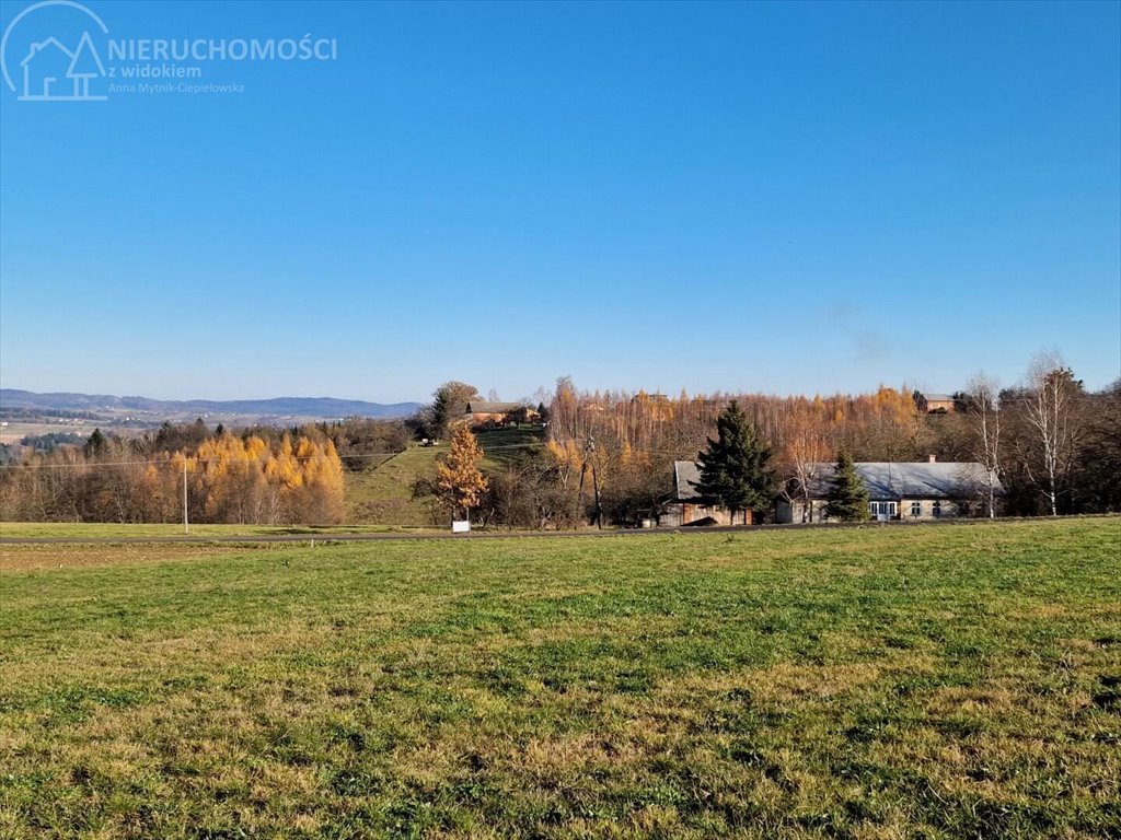 Działka budowlana na sprzedaż Turza  2 517m2 Foto 1