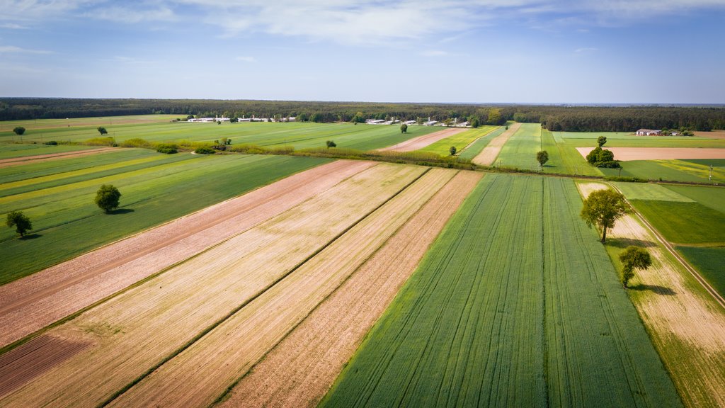 Działka inna na sprzedaż Uniejów  2 700m2 Foto 14