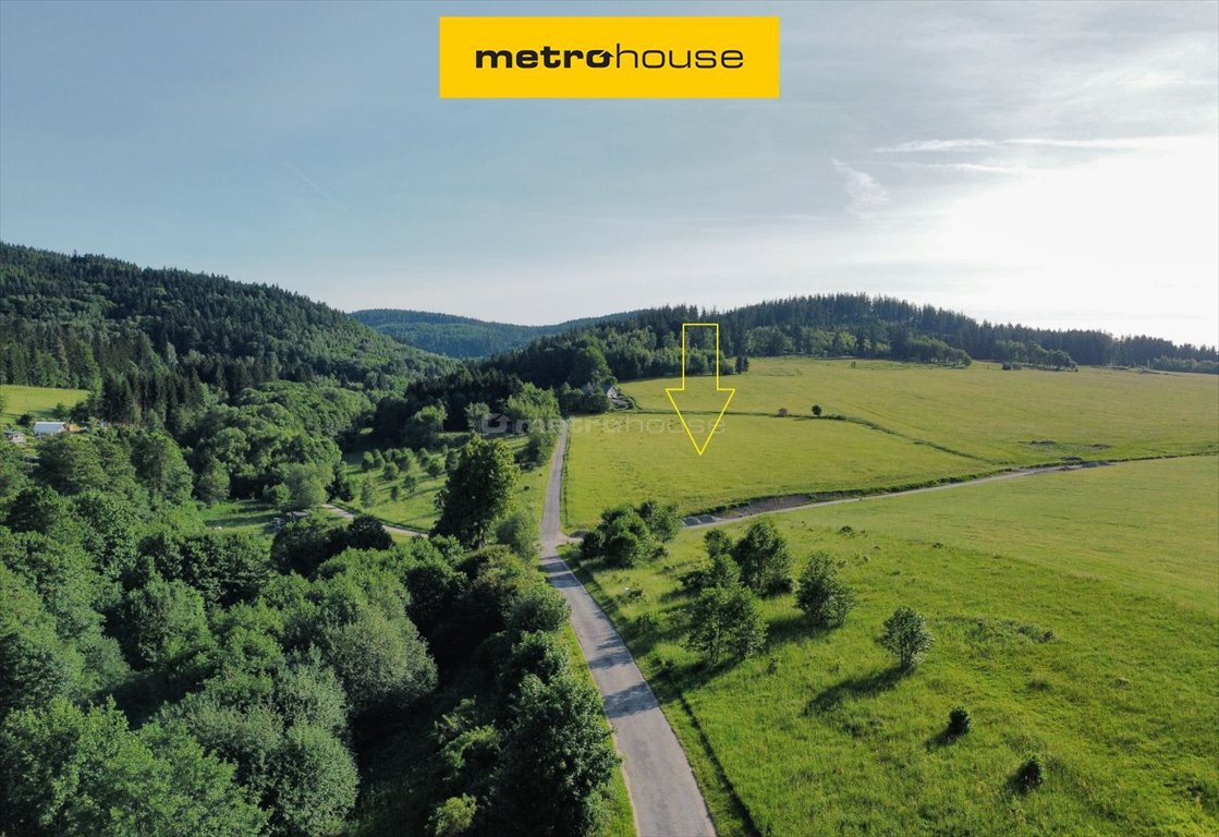 Do sprzedania przestronna działka 23 243 m² z widokiem na góry Szczytna, Bobrowniki Stare  23 243m2 Foto 1
