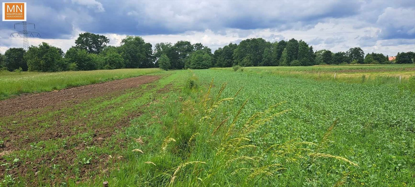 Działka rekreacyjna na sprzedaż Grobla  2 700m2 Foto 3