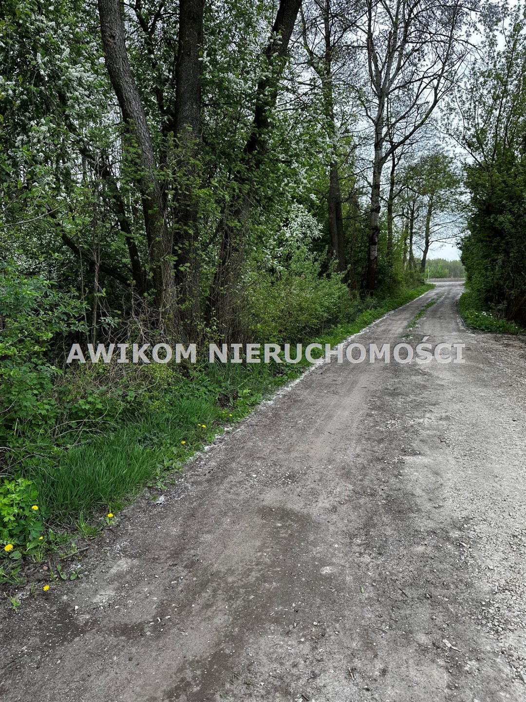 Działka inna na sprzedaż Grodzisk Mazowiecki, Marynin  10 200m2 Foto 7