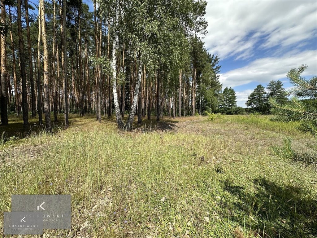 Działka inna na sprzedaż Namysłów, Nowe Smarchowice- Stanek  1 000m2 Foto 6