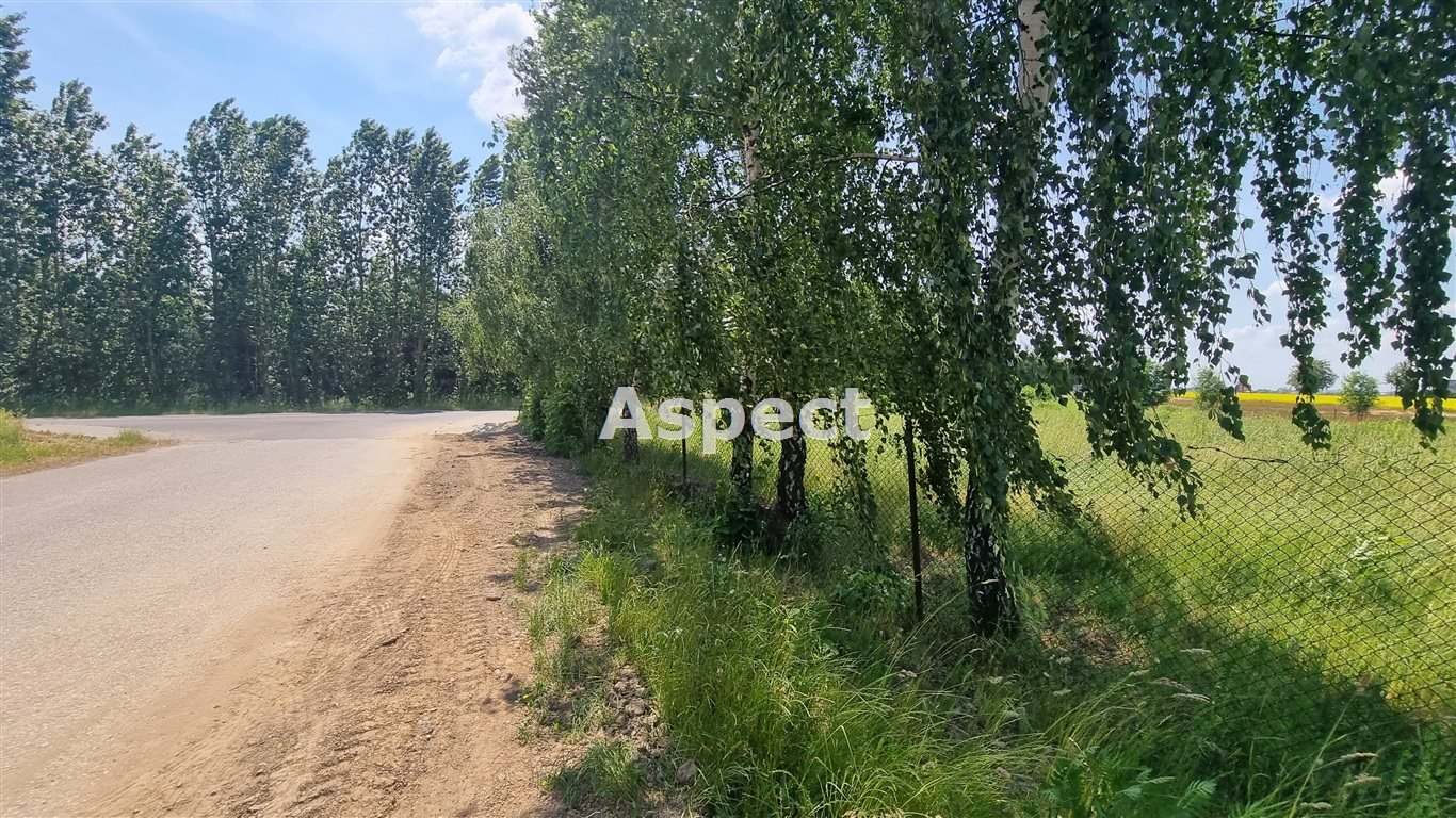 Działka inna na sprzedaż Stare Boryszewo  2 518m2 Foto 1