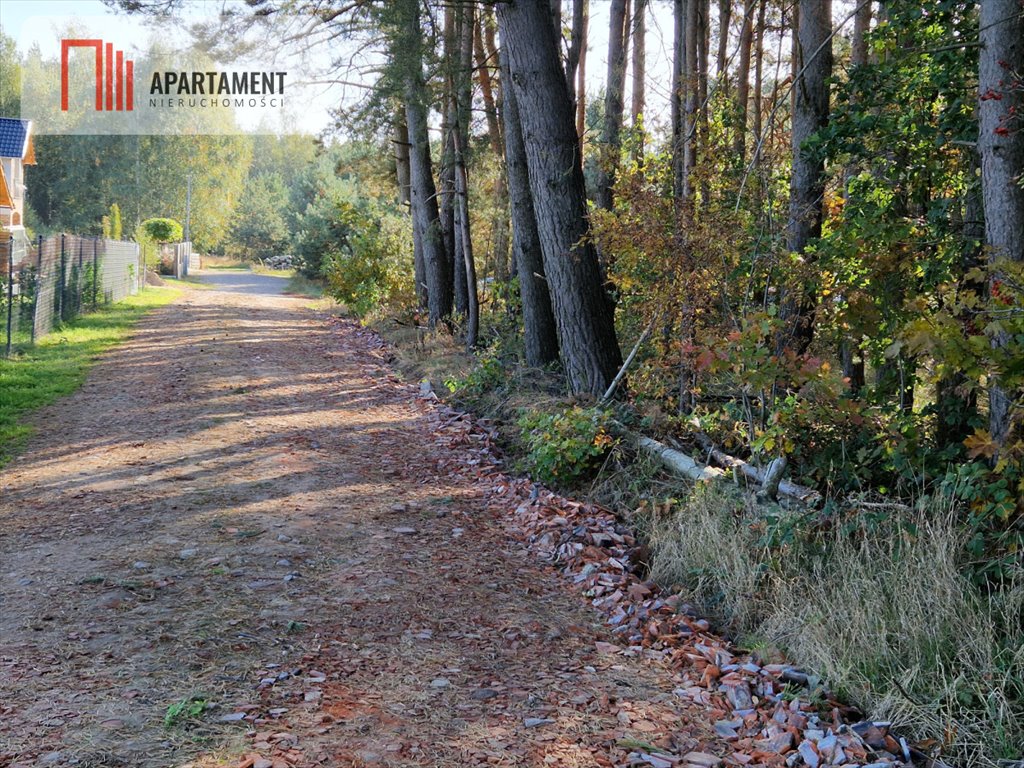 Działka budowlana na sprzedaż Duszniki, Nowotomyska  3 966m2 Foto 5