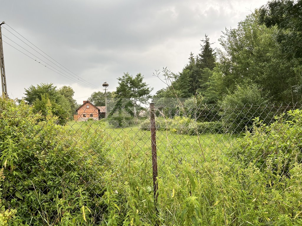 Działka leśna z prawem budowy na sprzedaż Królewo  2 300m2 Foto 1