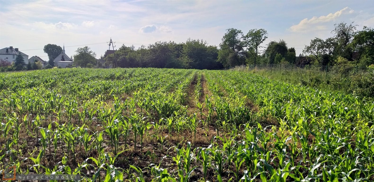 Działka budowlana na sprzedaż Będkowice  2 980m2 Foto 3