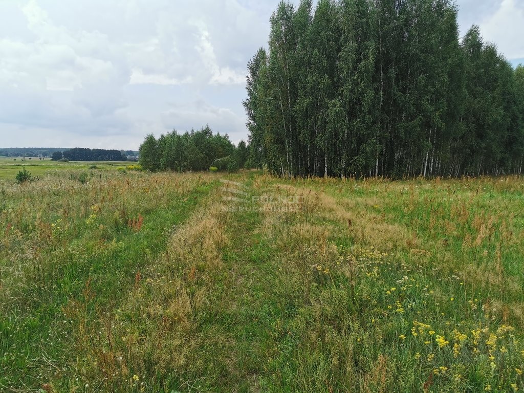 Działka rolna na sprzedaż Królowe Stojło  8 500m2 Foto 19