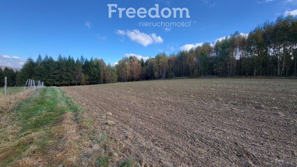 Działka budowlana na sprzedaż Połomia  5 700m2 Foto 6