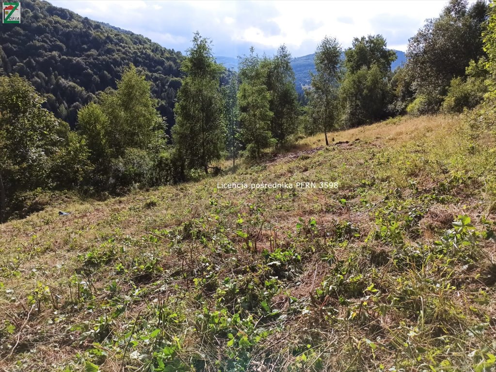 Działka budowlana na sprzedaż ZAWOJA  3 100m2 Foto 1