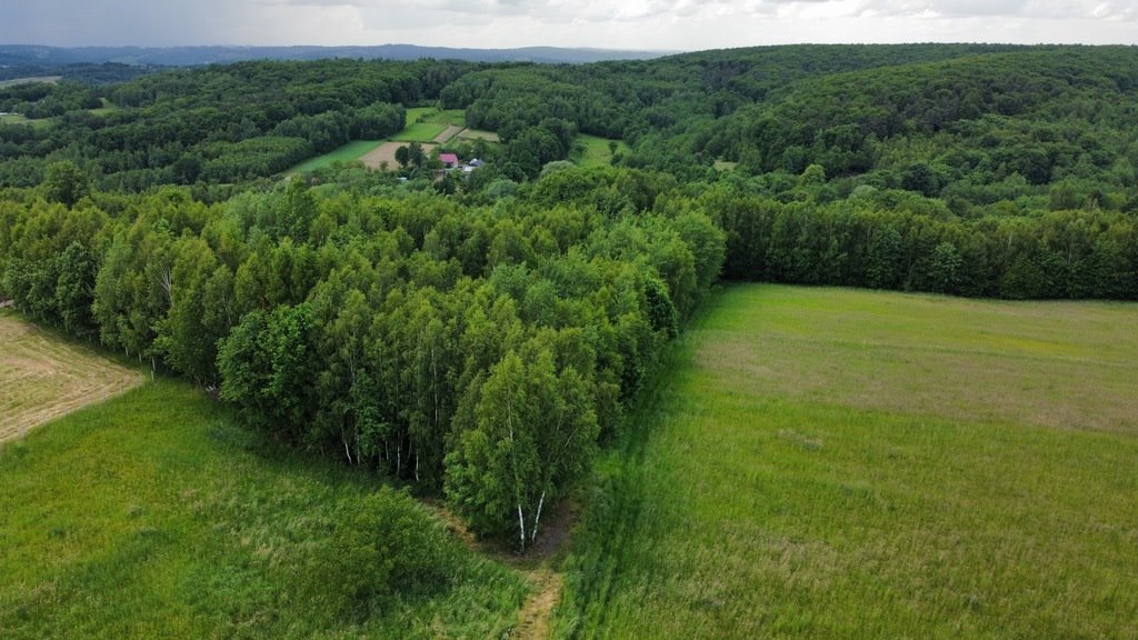 Działka inna na sprzedaż Rzeszów, Budziwój, Liliowa  2 900m2 Foto 4