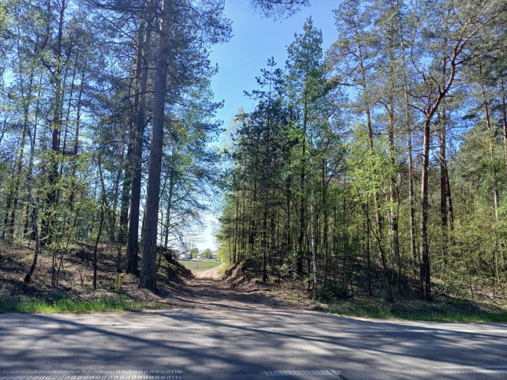 Działka budowlana na sprzedaż Myszyniec, Myszyniec  5 200m2 Foto 1