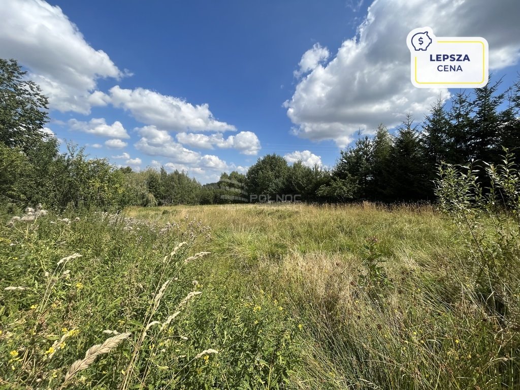 Działka inna na sprzedaż Kopaniec  6 700m2 Foto 1