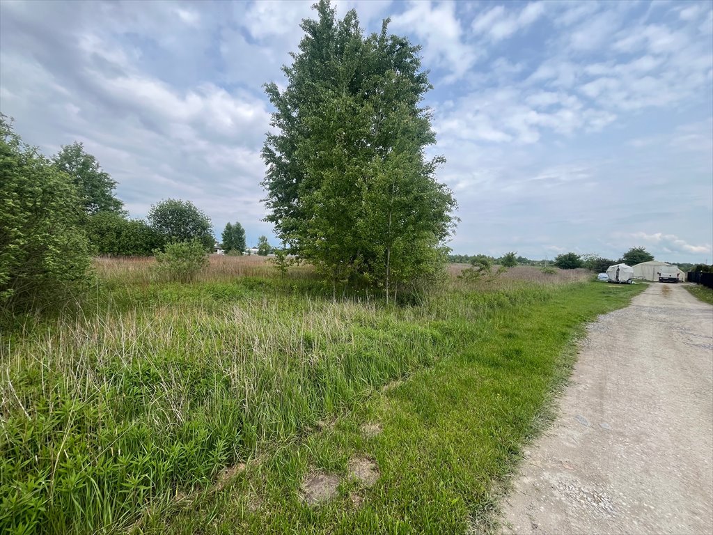 Działka budowlana na sprzedaż Wiązowna, Duchnów, Księżycowa  15 500m2 Foto 1