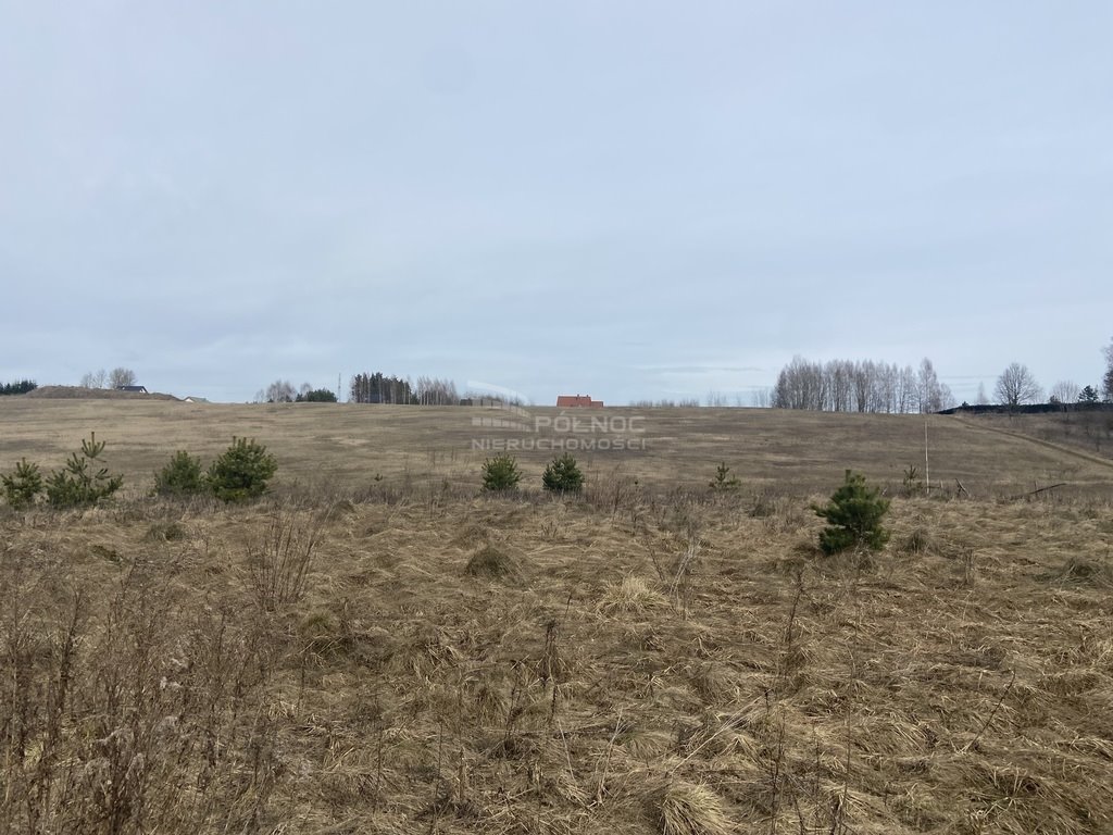 Działka inna na sprzedaż Wójtowo  30 000m2 Foto 1