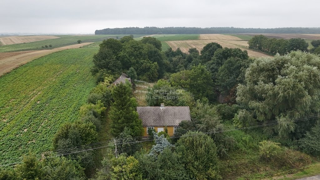 Działka inna na sprzedaż Telatyn, św. Anny  8 800m2 Foto 5