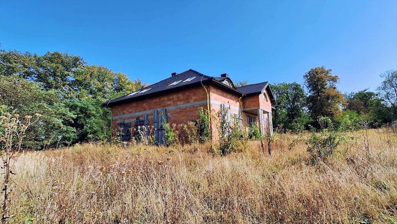 Dom na sprzedaż Cedynia  600m2 Foto 14