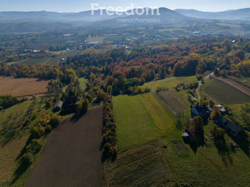 Działka budowlana na sprzedaż Raciechowice  4 600m2 Foto 3