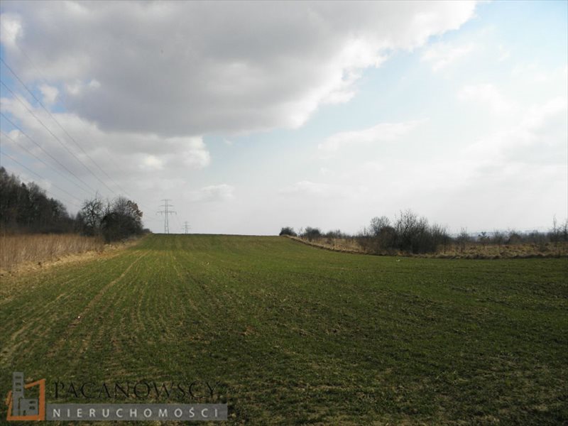 Działka rolna 1,34 ha z dostępem do mediów, Boleń Bosutów, Boleń  13 400m2 Foto 1