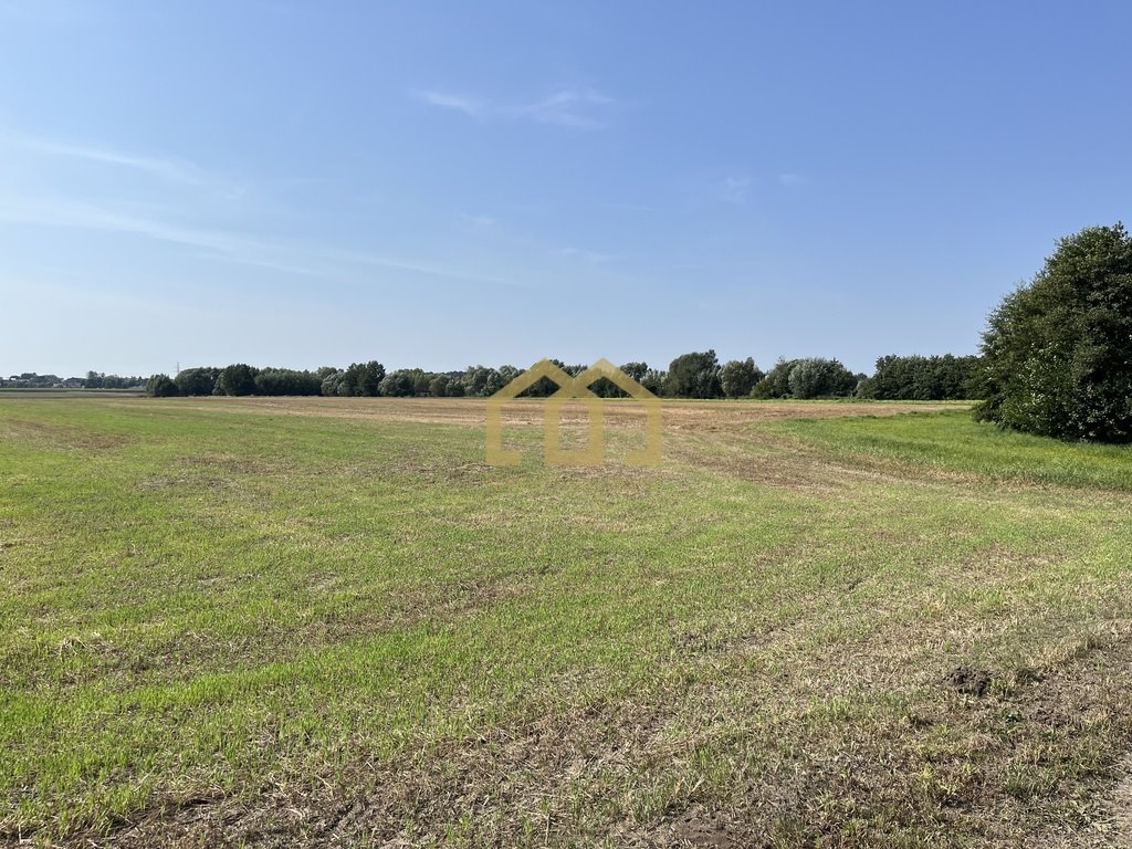 Działka budowlana na sprzedaż Sosnowiec  700m2 Foto 4