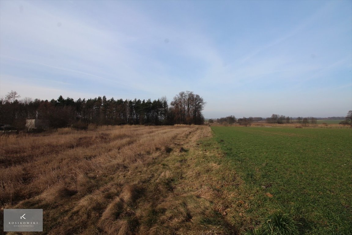 Dwie działki w Dalborowicach, 1701 i 1755 m², media Dziadowa Kłoda  1 701m2 Foto 1