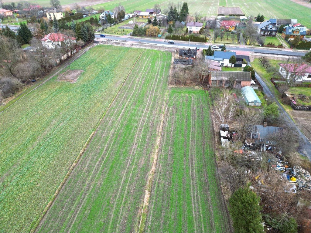 Działka budowlana na sprzedaż Jatutów  3 000m2 Foto 4