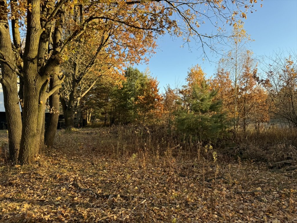 Działka budowlana na sprzedaż Konstancin-Jeziorna  1 301m2 Foto 1