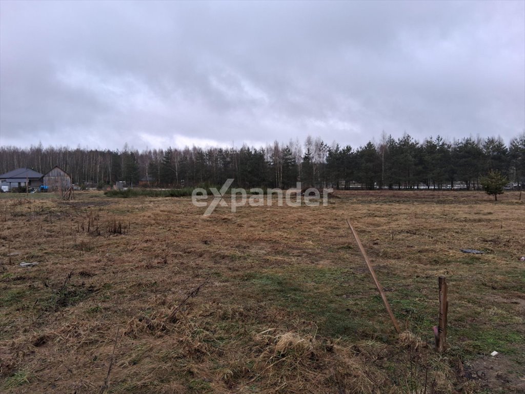 Działka 2,45 ha z warunkami zabudowy i mediami Budy Głogowskie  2 450m2 Foto 1