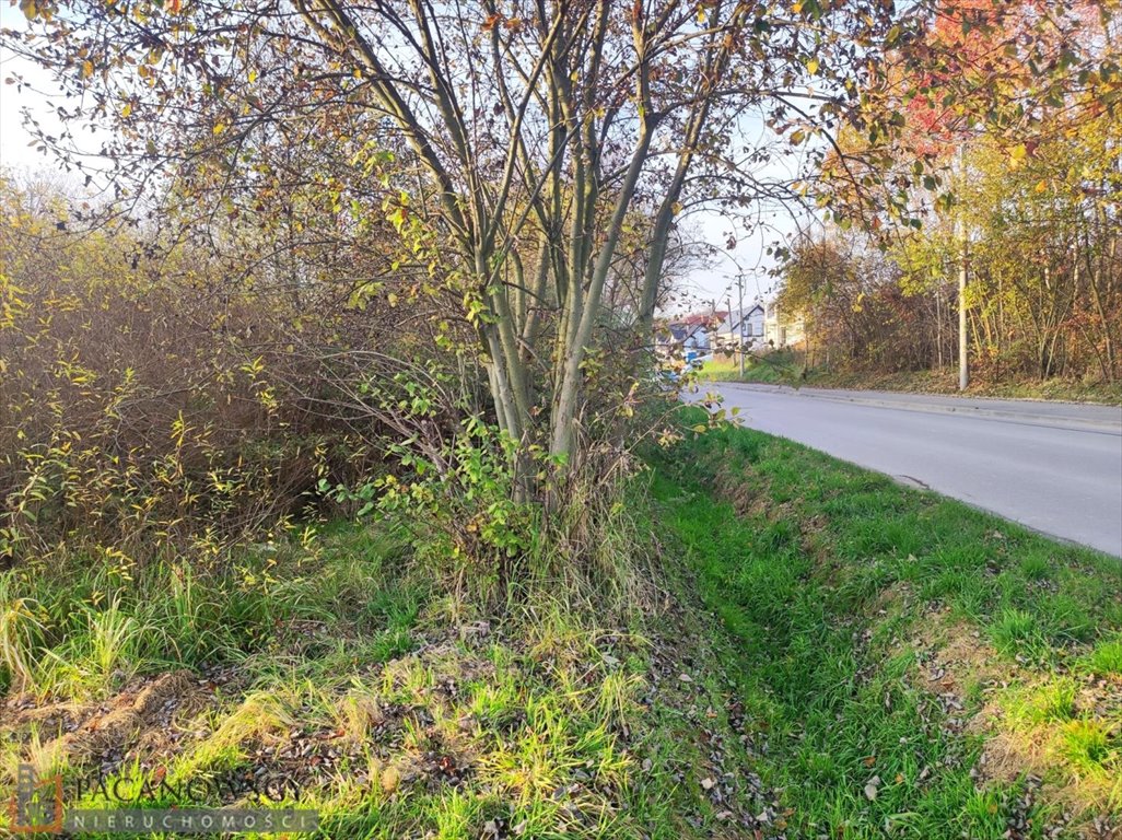 Działka budowlana na sprzedaż Bosutów  3 100m2 Foto 4