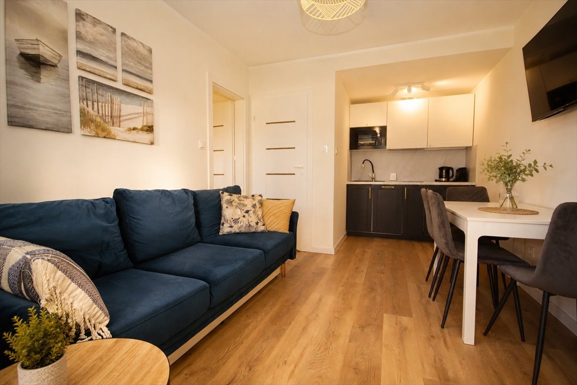 Atrakcyjny apartament 30,42 m² z tarasem i placem zabaw Dębina, Modrzewiowa  30m2 Foto 1